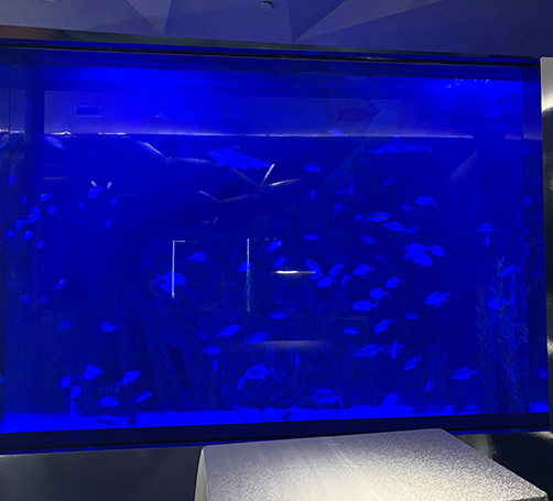 武漢定做魚缸